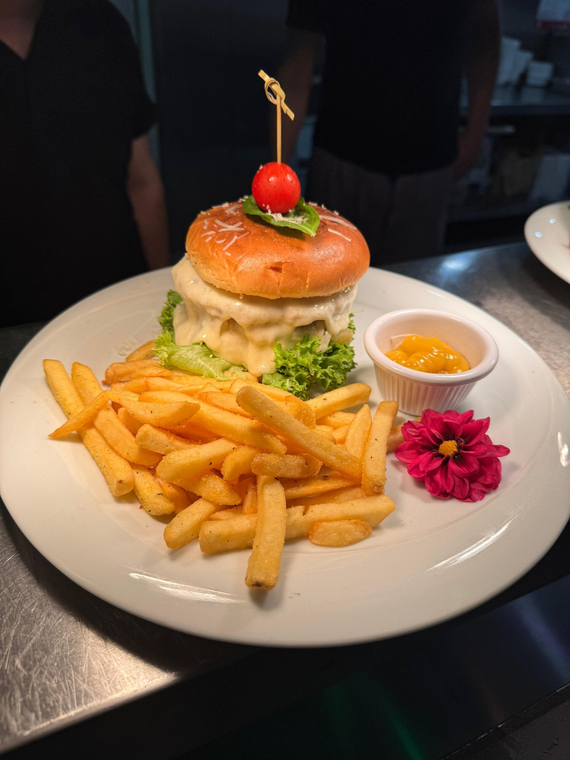 90bda1af d2bd 4ea6 bb37 c69d424a3656 scaled